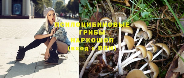 СК Арсеньев