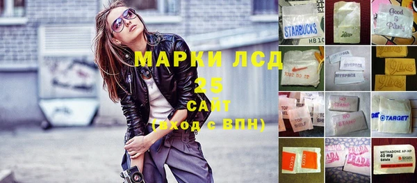 стаф Баксан