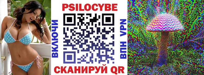 маркетплейс наркотические препараты  Балей  Псилоцибиновые грибы Psilocybine cubensis 
