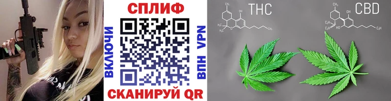 Шишки марихуана конопля Балей