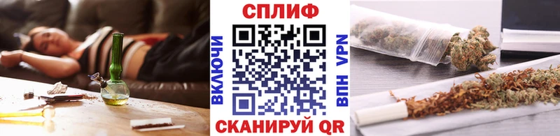 Бошки Шишки MAZAR  Балей 